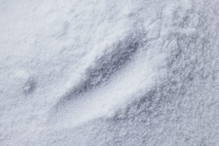 Comment utiliser le Blanc de Meudon pour divers travaux ?