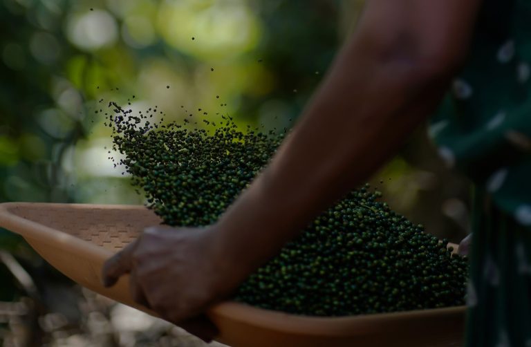Les bienfaits du poivre noir en cuisine