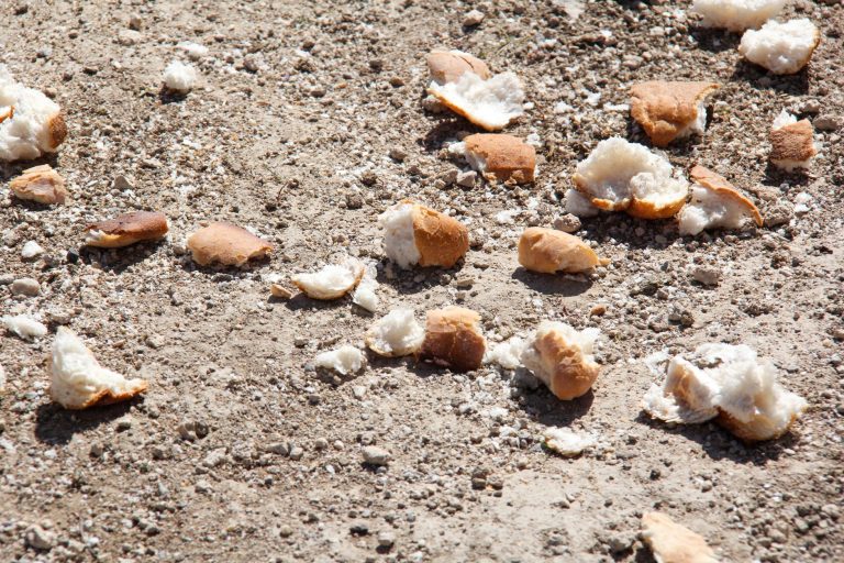 Comment éviter le gaspillage alimentaire avec du pain rassis ?