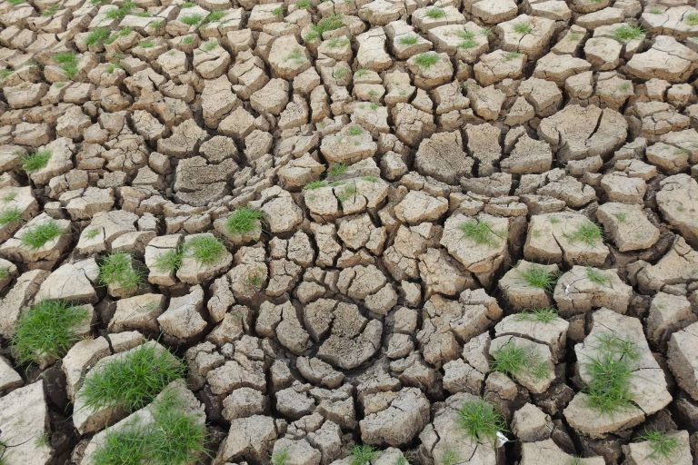 Préparer son budget face à un super El Niño