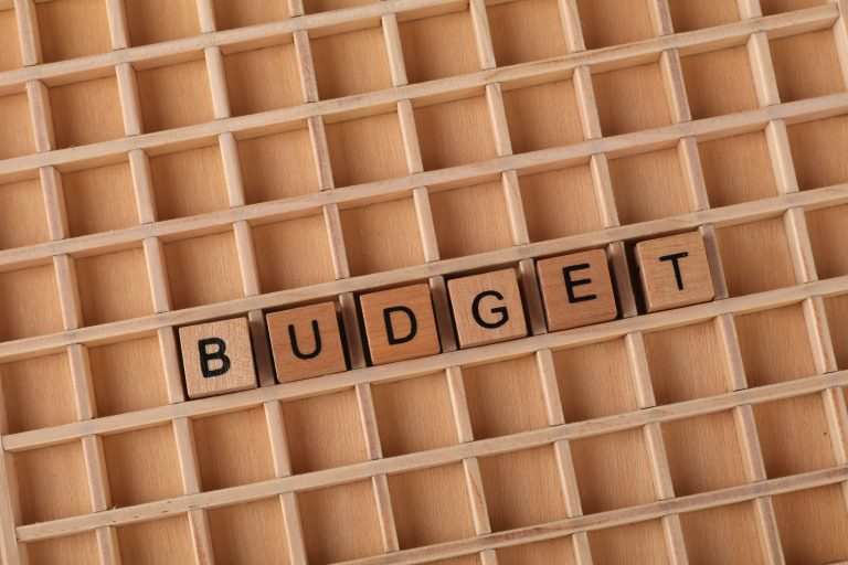 Budget en berne : quel avenir pour l&rsquo;écologie en France ?