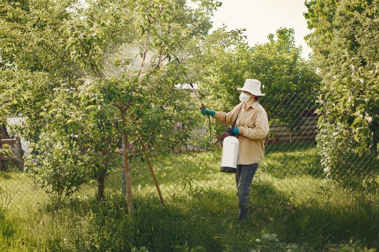 Santé : l&rsquo;effet cocktail des pesticides inquiète les experts