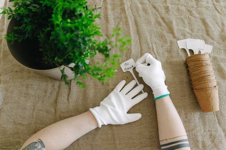 Comment éviter le greenwashing parmi les labels écologiques ?