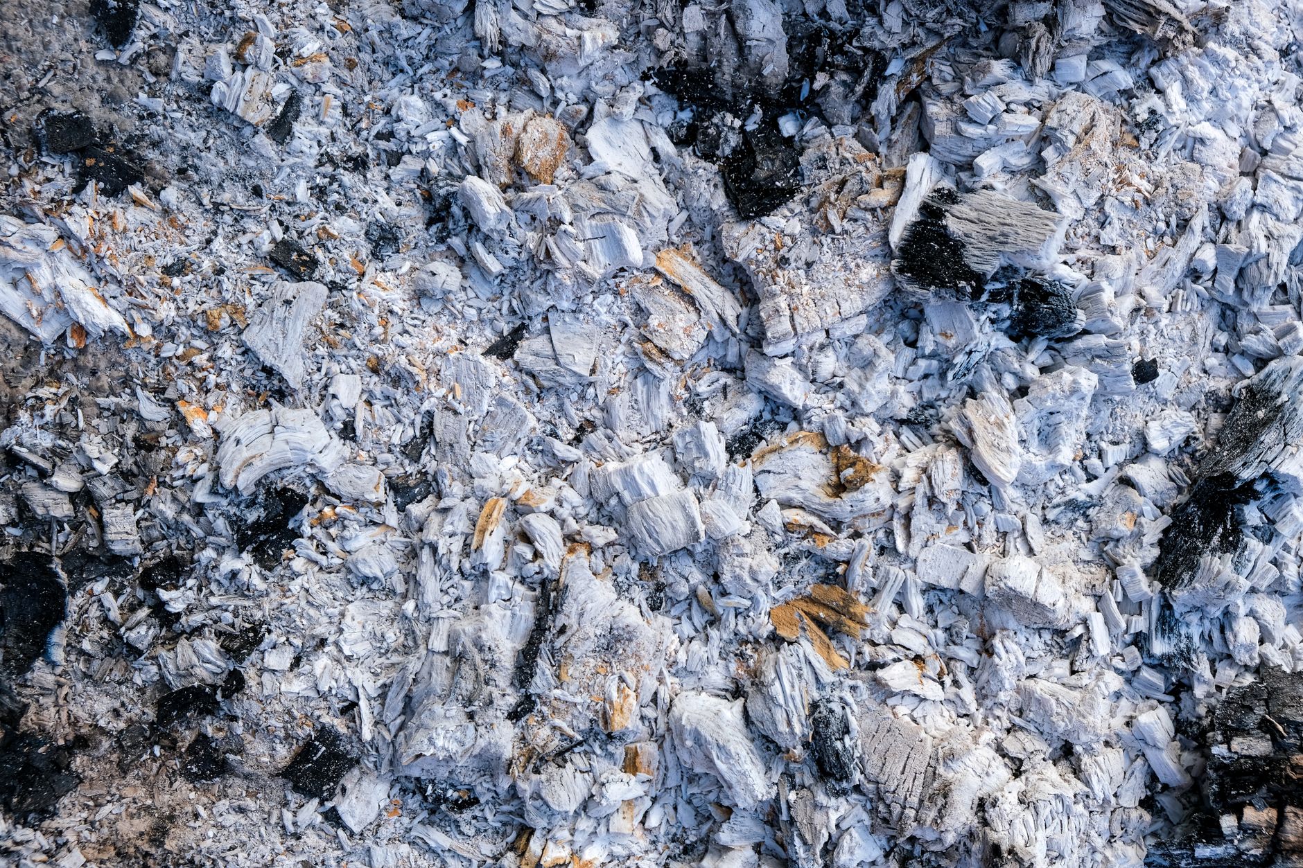 Économisez avec la cendre de bois : l'alternative écologiquement responsable à vos produits d'entretien