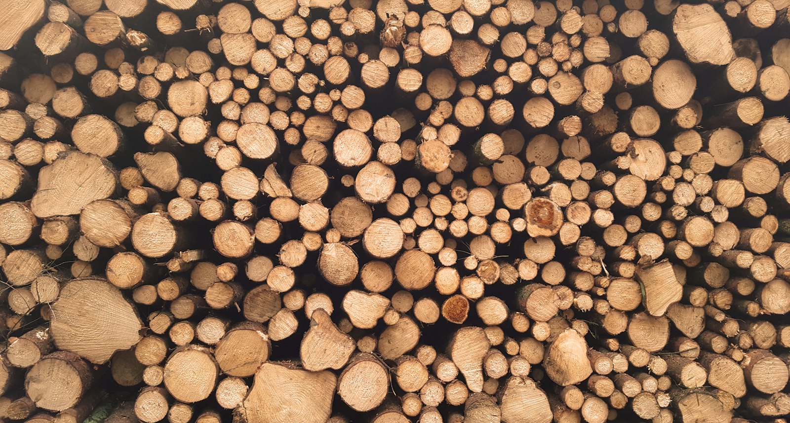 Dès maintenant, obtenez votre bois de chauffage à 13 € le stère en mairie