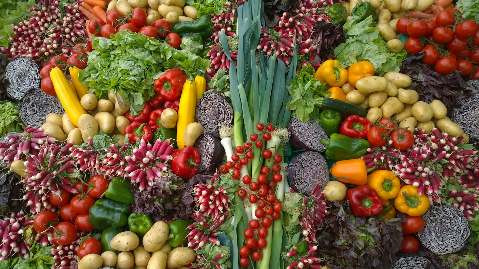 Premières gelées : les gestes essentiels pour sauver votre jardin
