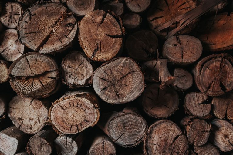 Dès maintenant, obtenez votre bois de chauffage à 13 € le stère en mairie