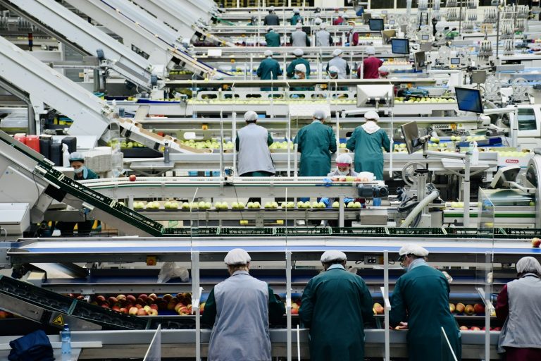Le cadmium dans nos aliments : comment le gouvernement réduit votre exposition