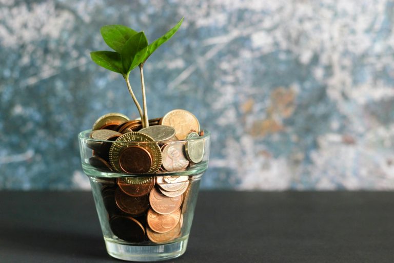Budget 2027 : Ce que le gouvernement ne vous dit pas sur vos économies