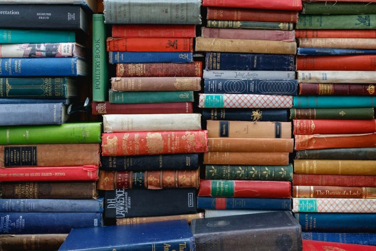 Ne manquez pas l&rsquo;occasion d&rsquo;enrichir votre bibliothèque à Dijon !