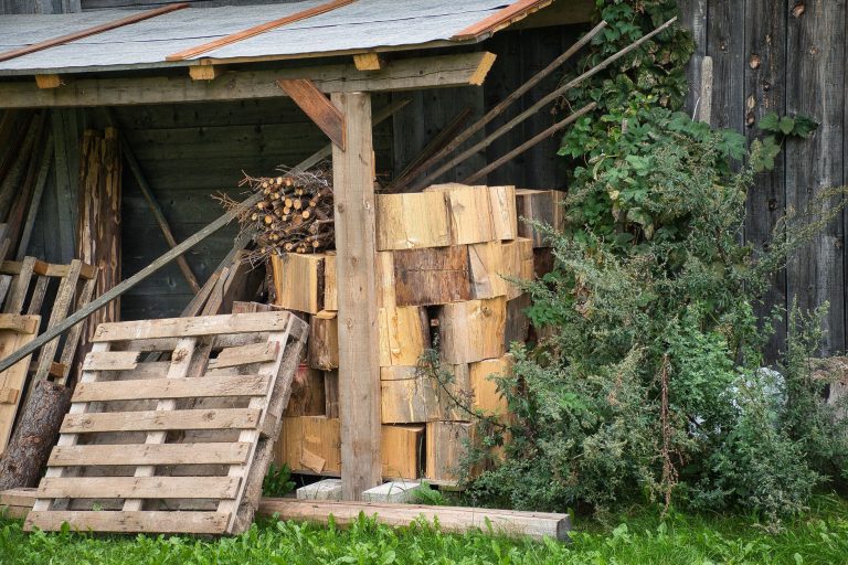 Dès cet automne, l&rsquo;abri à bois : votre allié contre les week-ends pluvieux